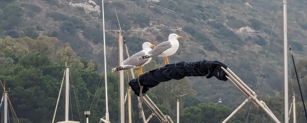 La nautica sarda da diporto