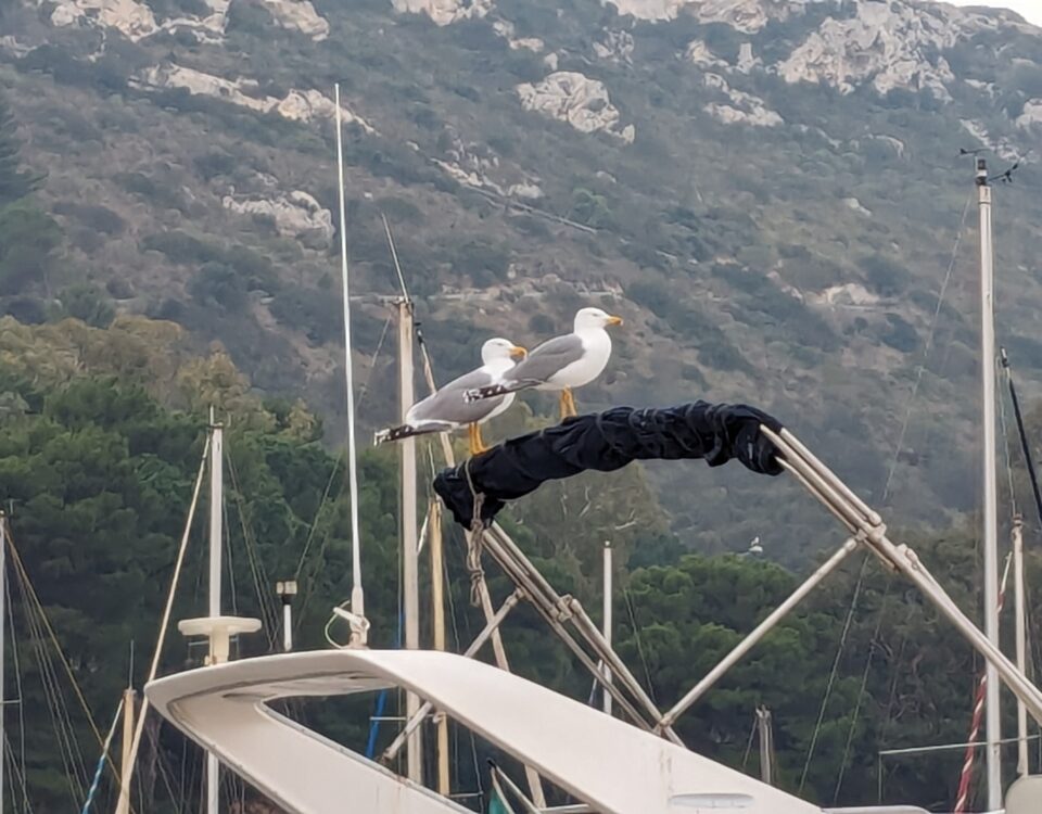 La nautica sarda da diporto