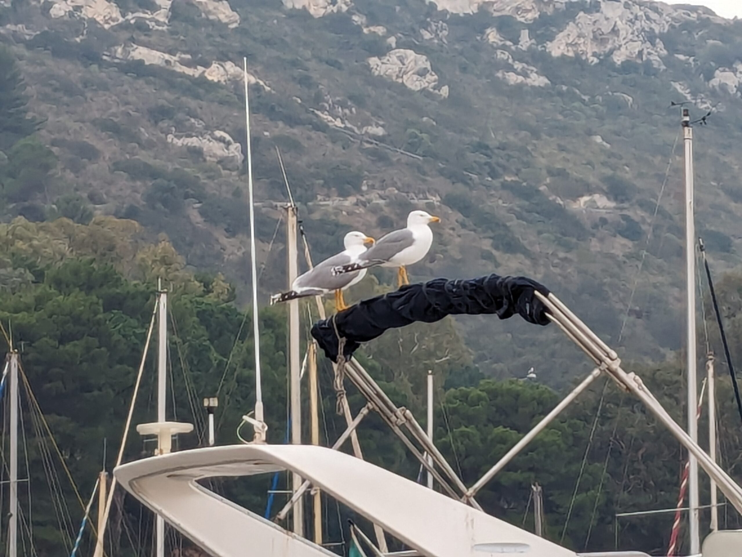 La nautica sarda da diporto